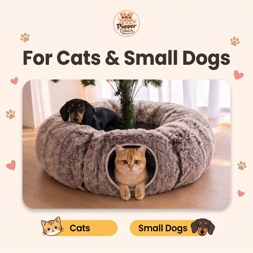 Pet Tunnel & Bed