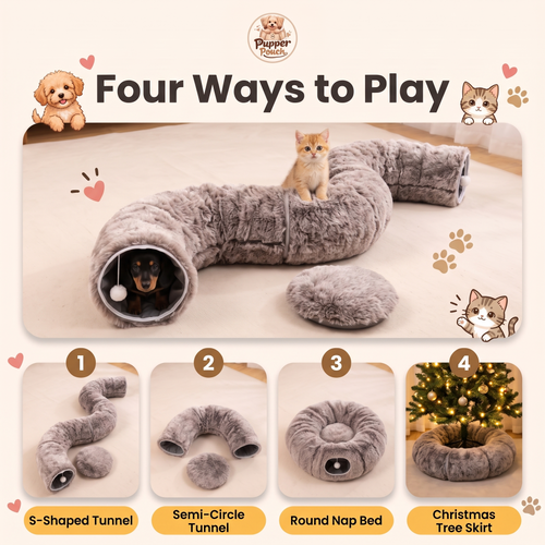 Pet Tunnel & Bed